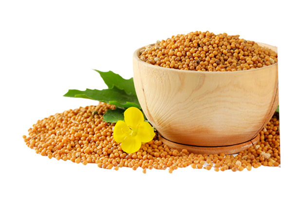 mustard seed