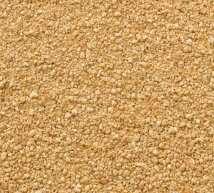 soybean meal